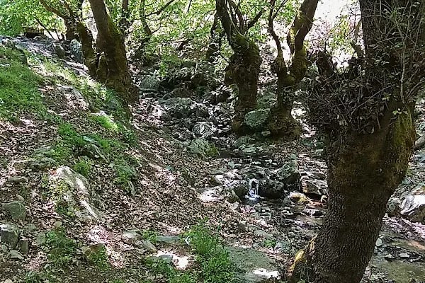 Saklıhuzur şelalesi - Resim 8