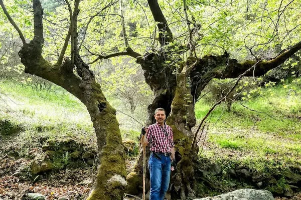 Saklıhuzur şelalesi - Resim 13