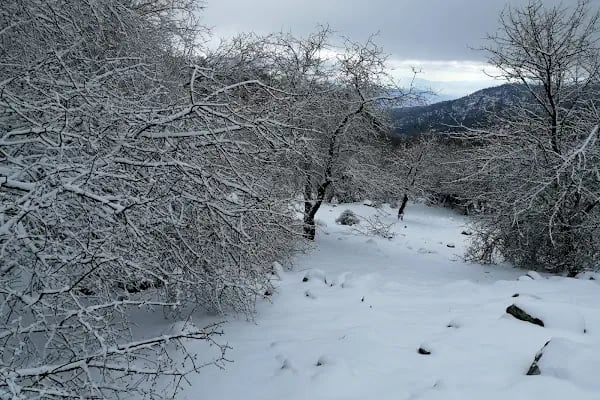 Karagöl Orman Kampı - Resim 19