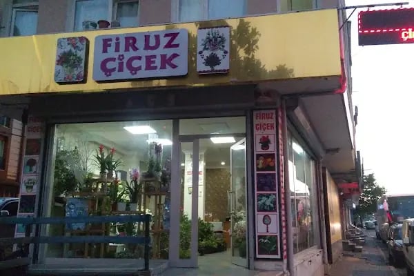Firuz Çiçek - Resim 2