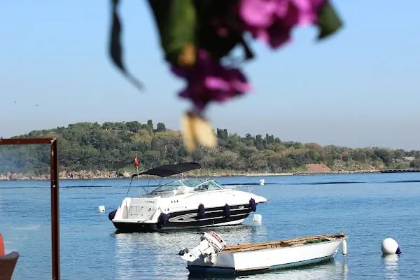 Yasemin Restaurant - Resim 11