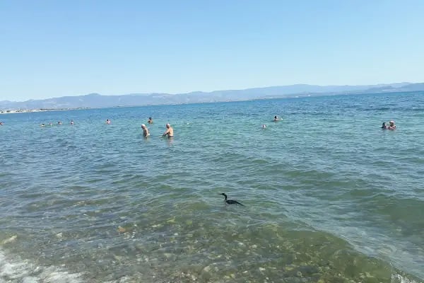 Sosyete Bar/Beach Club - Resim 9