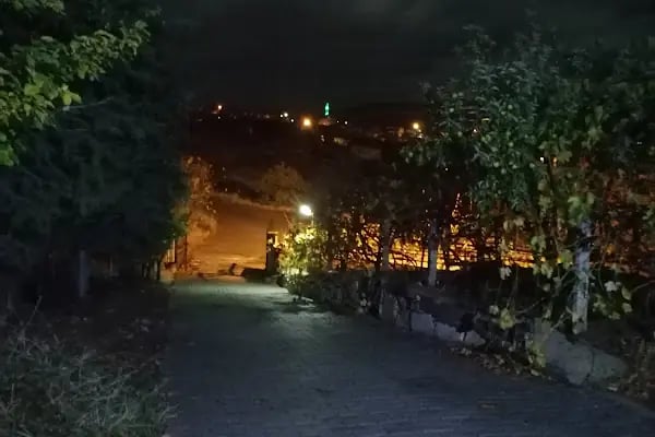 Acar Bağ Evi - Resim 3