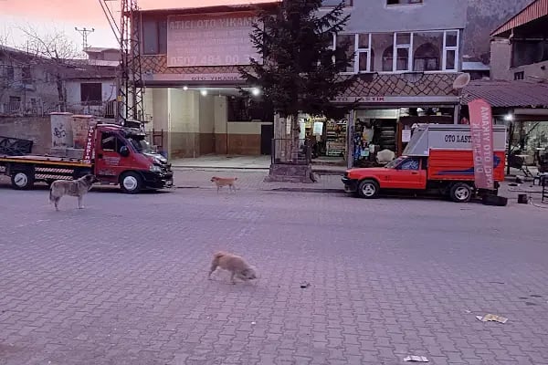 Atıcı Oto Lastik - Resim 8