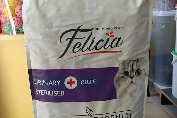 Ataşehir Hanımeli PetStore - Kuş, Kedi, Köpek, Sürüngen, Kemirgen ve Balık Galerisi (Ataşehir muhabbet kuşu, sultan papağanı) - Resim 7