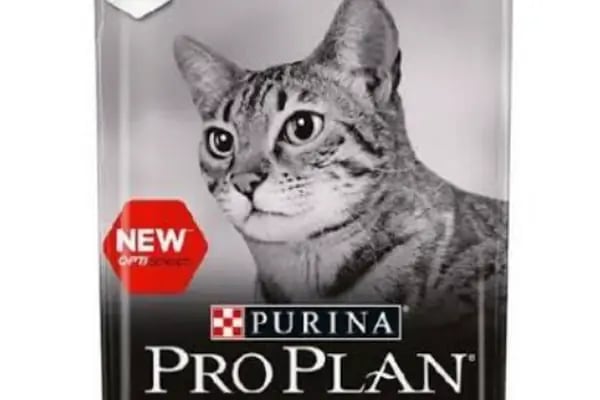 Ataşehir Hanımeli PetStore - Kuş, Kedi, Köpek, Sürüngen, Kemirgen ve Balık Galerisi (Ataşehir muhabbet kuşu, sultan papağanı) - Resim 18