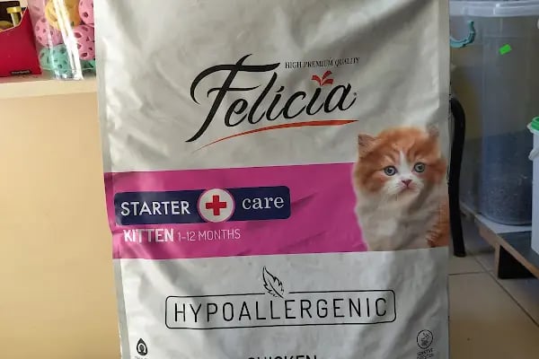 Ataşehir Hanımeli PetStore - Kuş, Kedi, Köpek, Sürüngen, Kemirgen ve Balık Galerisi (Ataşehir muhabbet kuşu, sultan papağanı) - Resim 14