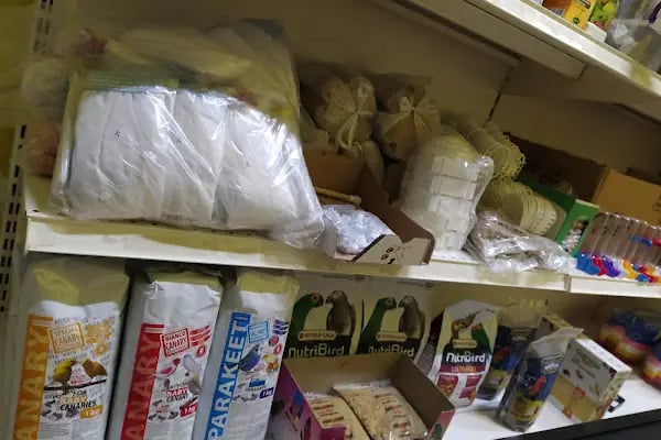 Ataşehir Hanımeli PetStore - Kuş, Kedi, Köpek, Sürüngen, Kemirgen ve Balık Galerisi (Ataşehir muhabbet kuşu, sultan papağanı) - Resim 8