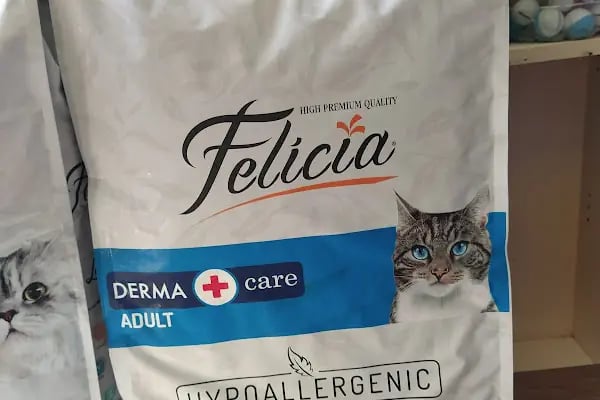 Ataşehir Hanımeli PetStore - Kuş, Kedi, Köpek, Sürüngen, Kemirgen ve Balık Galerisi (Ataşehir muhabbet kuşu, sultan papağanı) - Resim 13