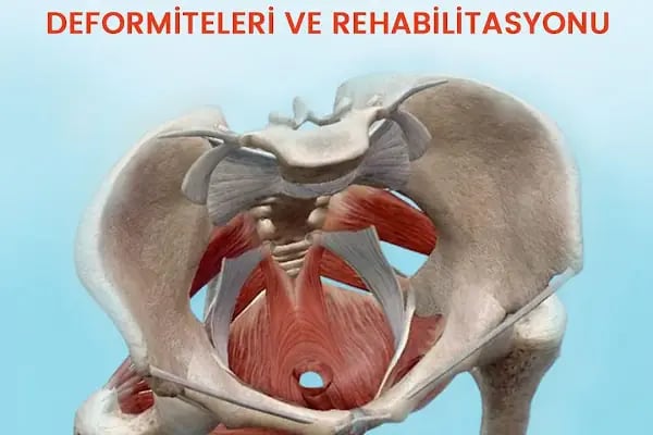 ANTE SAĞLIK Ossa Clinic Fizyoterapi ve Sağlıklı Yaşam Merkezi - Resim 20
