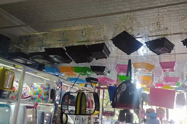 Vatan Petshop - Resim 8