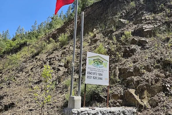Kiwi Park Yağmur Evleri - Resim 4
