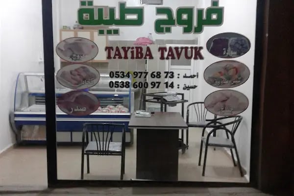 TAYiBA TAVUK - Resim 2