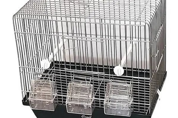 Sarıçam Petshop - Resim 10