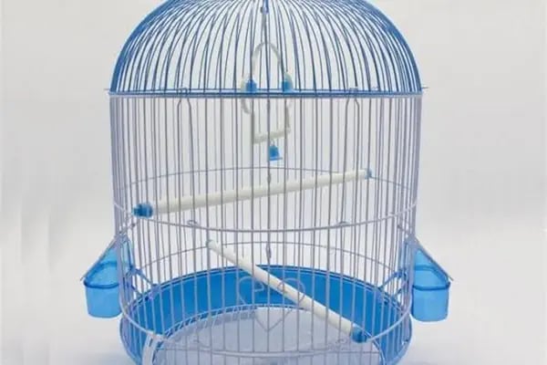 Sarıçam Petshop - Resim 6