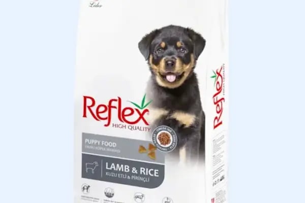 Sarıçam Petshop - Resim 1