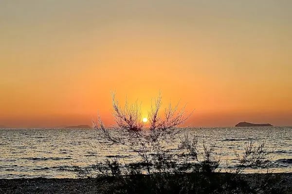 Mandalinci Beach Hotel - Resim 7