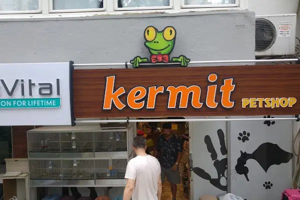 Kermit Pet Shop - Resim 10