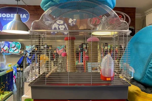 Kermit Pet Shop - Resim 12