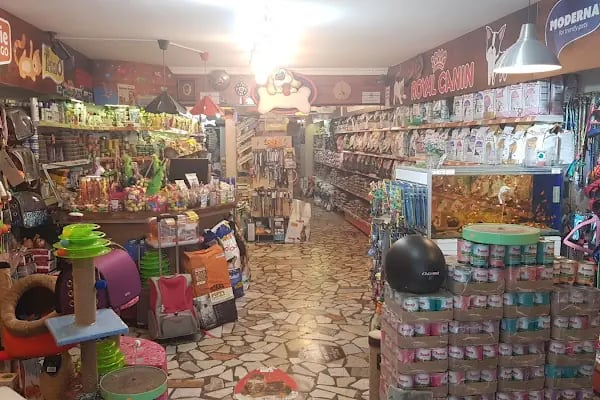 Kermit Pet Shop - Resim 18