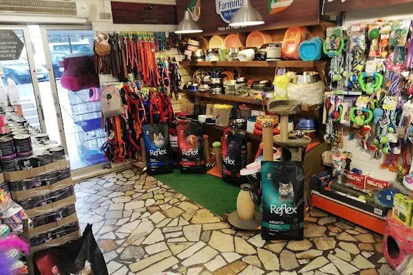 Kermit Pet Shop - Resim 5