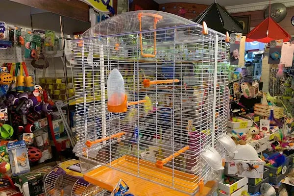 Kermit Pet Shop - Resim 6