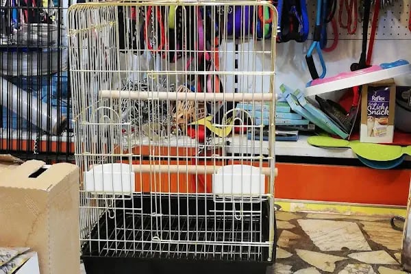 Kermit Pet Shop - Resim 3