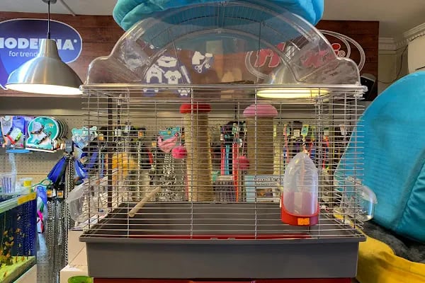 Kermit Pet Shop - Resim 19