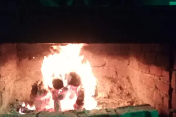 Avcı Besi Çiftliği - Resim 1