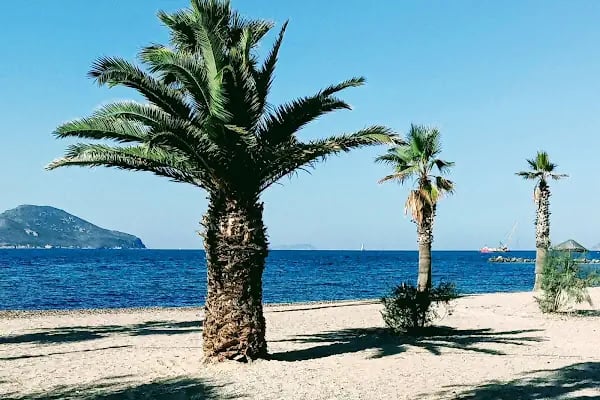 Turgutreis Su Ürünleri Kooperatifi - Resim 12