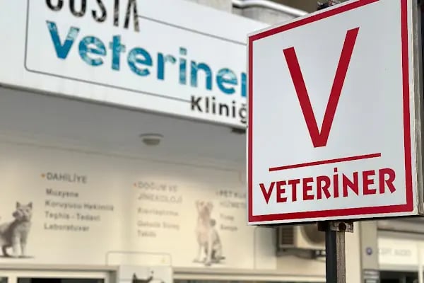 Cat &amp; Dog Veteriner Kliniği - Resim 19