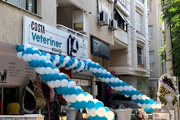 Cat &amp; Dog Veteriner Kliniği - Resim 17