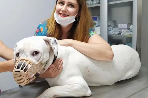 Cat &amp; Dog Veteriner Kliniği - Resim 16