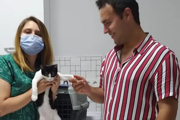 Cat &amp; Dog Veteriner Kliniği - Resim 18