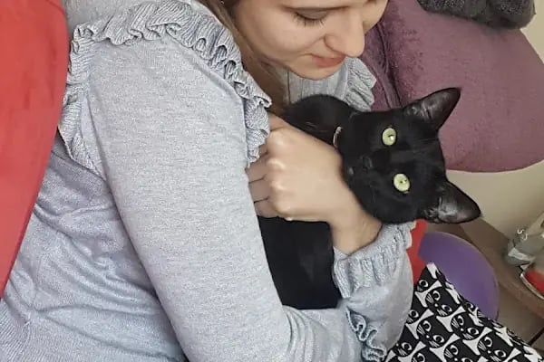 Cat &amp; Dog Veteriner Kliniği - Resim 20