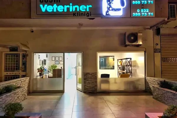 Cat &amp; Dog Veteriner Kliniği - Resim 6