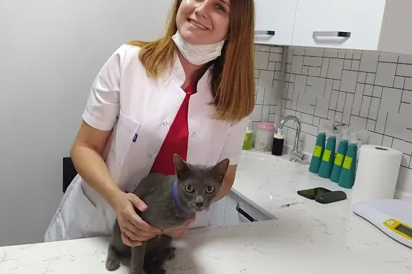 Cat &amp; Dog Veteriner Kliniği - Resim 2