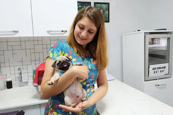 Cat &amp; Dog Veteriner Kliniği - Resim 3