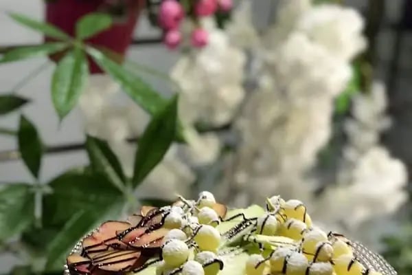Enze Butik Cafe - Resim 8