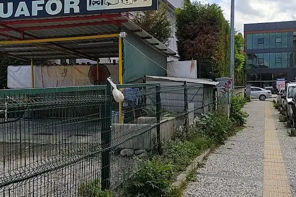 Çiçek Otopark - Resim 6