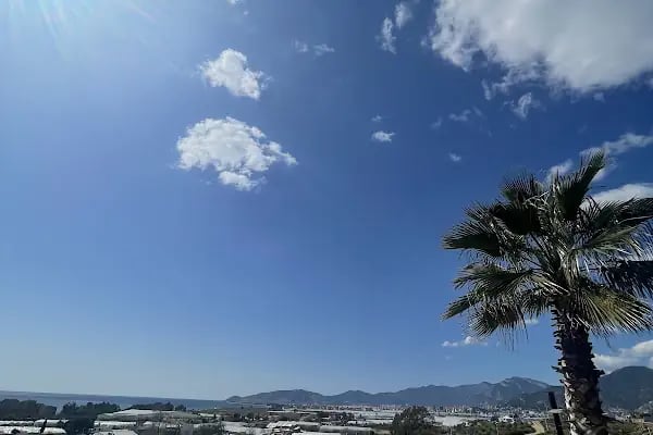 Anamur Deluxe Bungalows - Resim 3