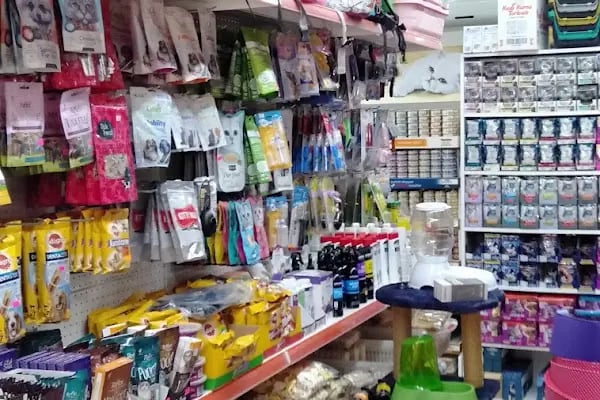 Pet İnn Pet shop - Resim 2