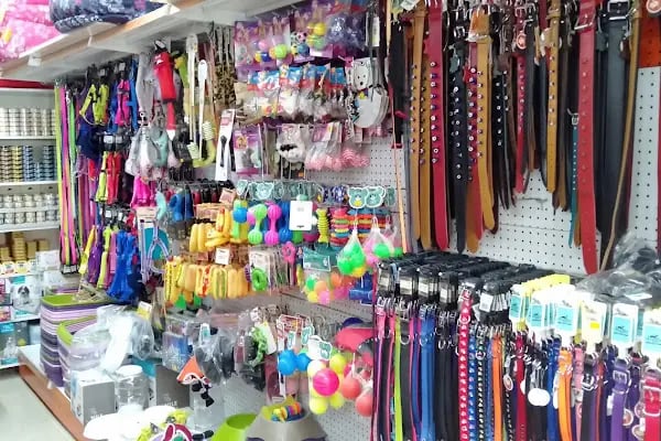 Pet İnn Pet shop - Resim 7