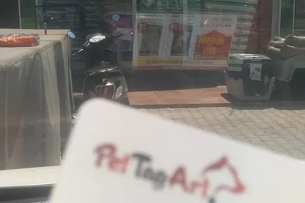 Pet İnn Pet shop - Resim 15