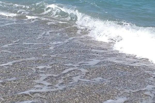 Geyikkoşan Piknik Alanı - Resim 15