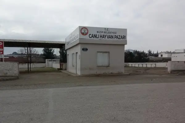 Canlı Hayvan Pazarı - Resim 1