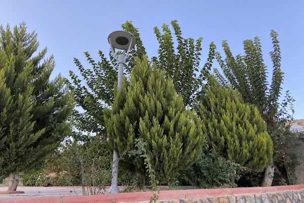 TÜRKOĞLU AT ÇIFTLİGİ - Resim 20