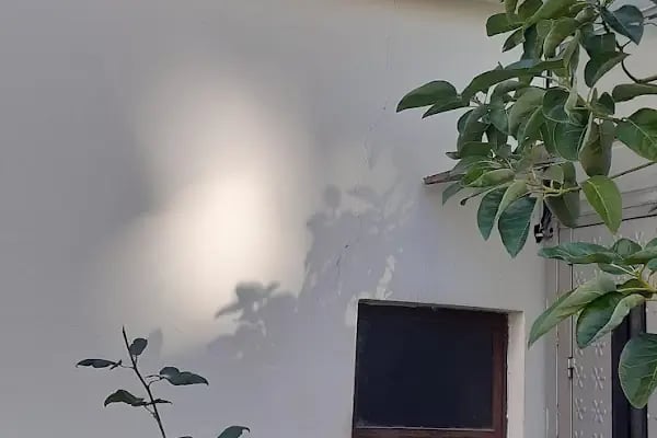 Şükrü Baba Camii - Resim 10