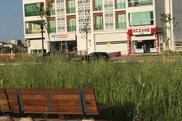 Diyarbakır veteriner Petshome - Resim 4