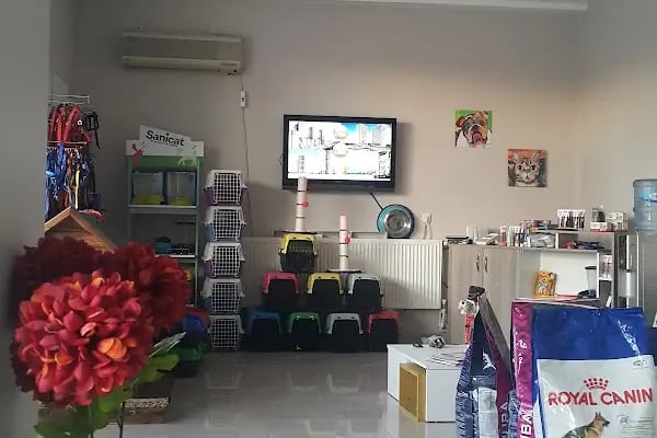 Diyarbakır veteriner Petshome - Resim 7